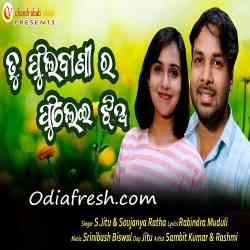 Tu Fulabanira Fulei Jhia